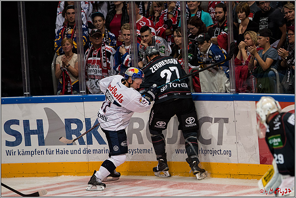 Koelner Haie - EHC Red Bull Muenchen , 16.09.16(KW37)